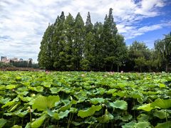 -黄兴公园