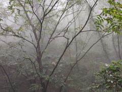 -终南山国家森林公园