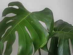 -沈阳铁西万象汇