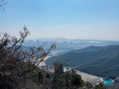 -惠山国家森林公园