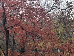 -丹东天桥沟景区