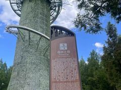 -黄海国家森林公园