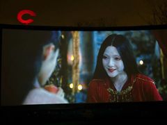 -枫花园汽车电影院(朝阳公园店)