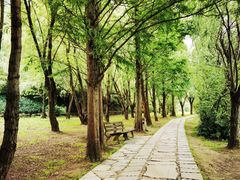 -贵阳市花溪国家城市湿地公园