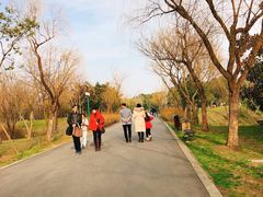 -蜀冈西峰生态公园