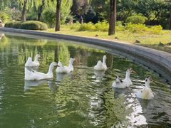 -木塔寺遗址生态公园