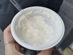 -德禄酸奶(莫家街店)