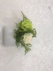 -瓷肌博士·祛痘科技美肤