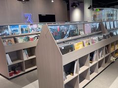 -浣熊唱片店(上海影城店)
