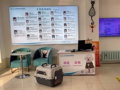 -北京观赏动物医院·24小时大型综合·猫专科·异宠专科