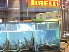 -本炙炭烤·蒲烧活鳗料理店(金沙洲店)