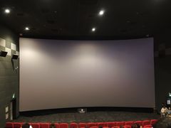 -山文星辉影城(青岛和谐广场店)