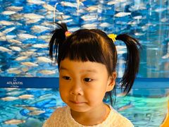 -三亚亚特兰蒂斯度假区