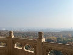 -灵谷景区