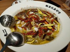 -新太二·鲜料川菜(群光广场店)
