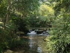 -中国茶叶博物馆(双峰馆区)
