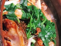 -大榕树下顺德菜(融创茂店)