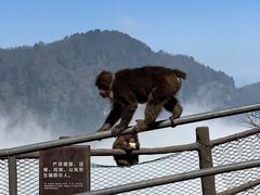 -峨眉山风景名胜区