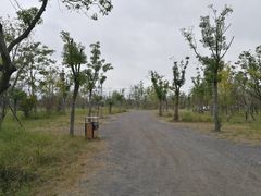 场地-广富林郊野公园-P5停车场