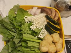 -润园四季椰子鸡火锅(南山海岸城店)