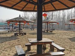 -合肥滨湖国家森林公园