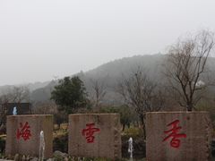 -香雪海
