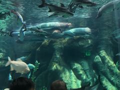 -波塞冬旅游度假区