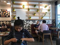 -油梨树 AVOCADO TREE(亮马桥店)