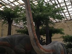 -国家自然博物馆