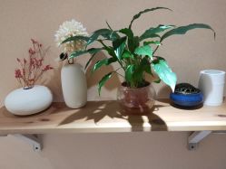 -深圳原色医疗美容