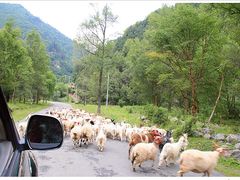 -互助北山国家地质公园漂流