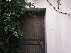 -杭州黄龙洞