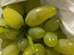 -马陆小张葡萄园农家乐