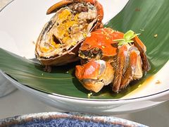 -打酱油·非遗淮扬菜(瘦西湖梅岭老店)