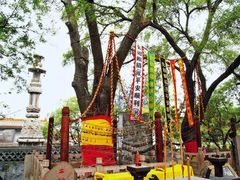 -大槐树寻根祭祖园