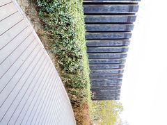 -三里河公园