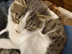 -八一路好吃街(雨田商务大厦店)