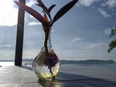-古尚锦酒楼·水上餐厅