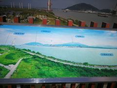 -芒洲湿地公园