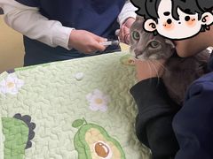 -格蕾宠物医院24H·猫科·肿瘤科·骨科中心(福州总院)