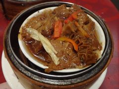 炆牛肚-糖朝(尖沙咀店)