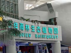 -正佳雨林生态植物园