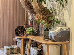 -PAUSE CAFE(南秀村店)
