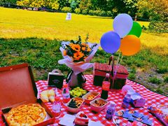 -上海共青森林公园