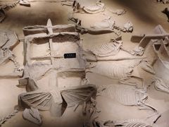 -洛阳周王城天子驾六博物馆