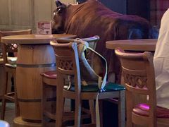 -MR.ROCKY洛奇先生RESTAURANT&BAR(宝安壹方城店)