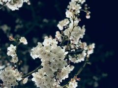 -成都濑川外国语学校