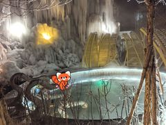 -长白山聚龙火山温泉