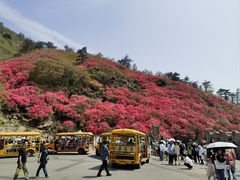 -木兰云雾山