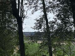 -南宁良凤江国家森林公园